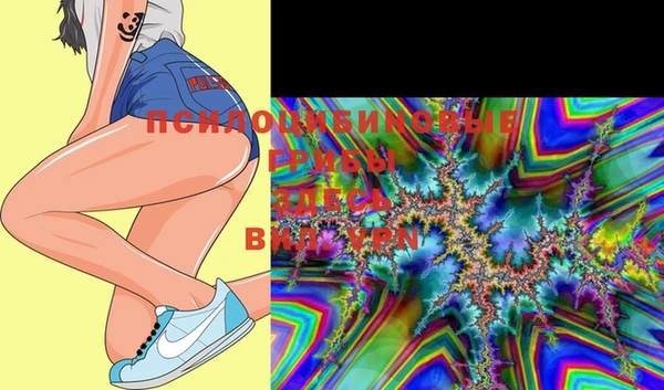 PSILOCYBIN Навашино