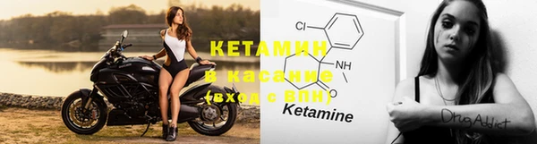 PSILOCYBIN Навашино