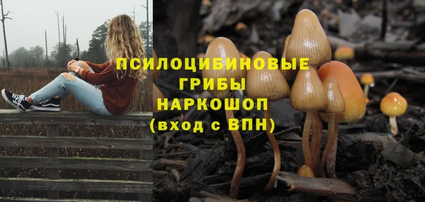 герыч Наволоки