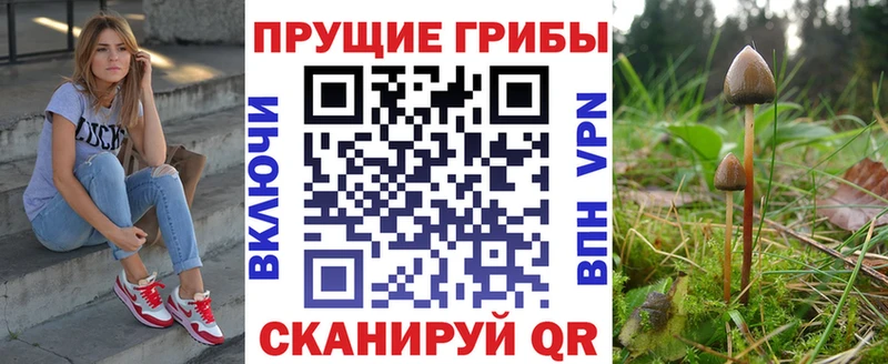mega ссылки Струнино Псилоцибиновые грибы мухоморы где продают наркотики